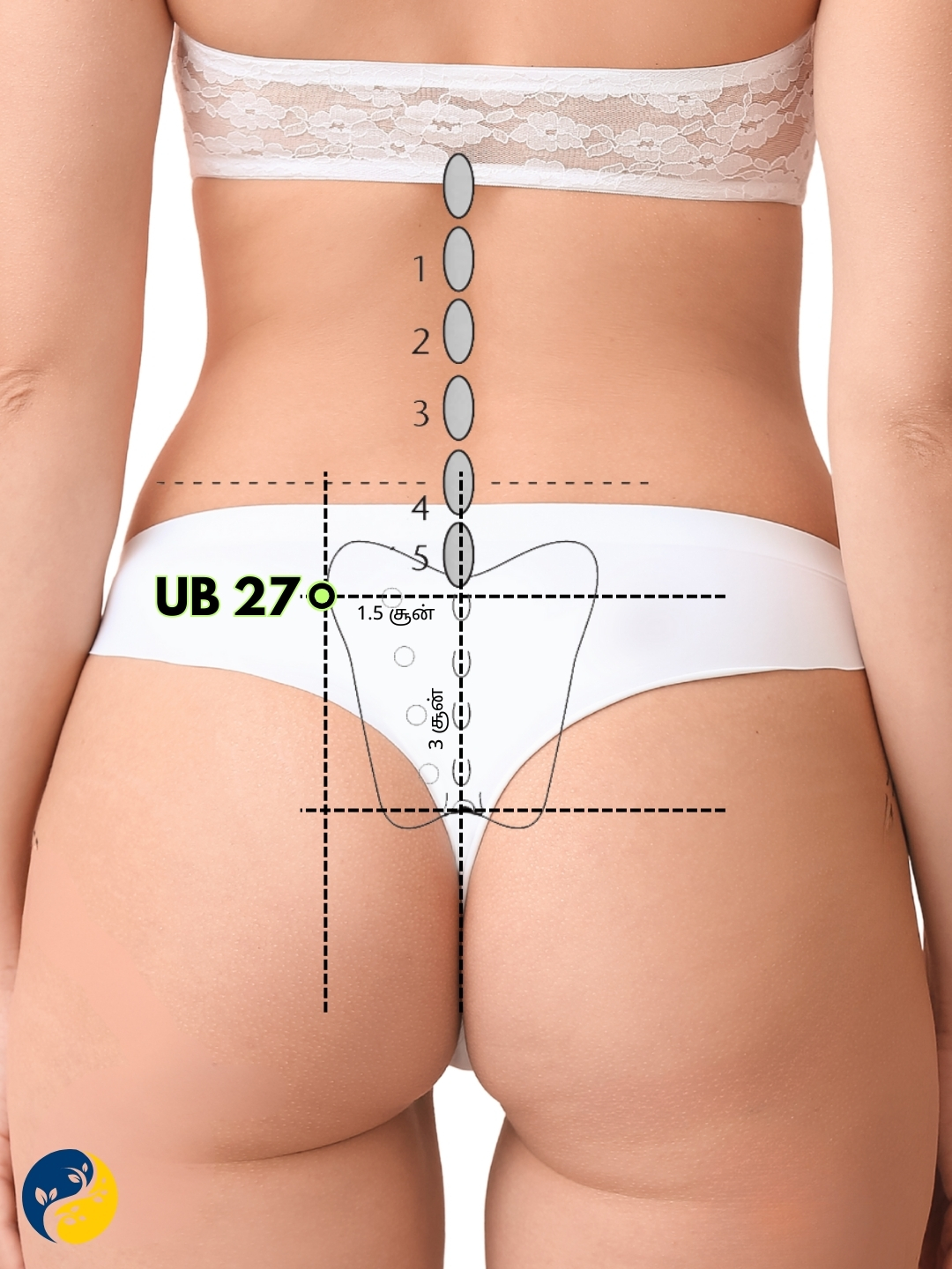 UB27 acupuncture point
