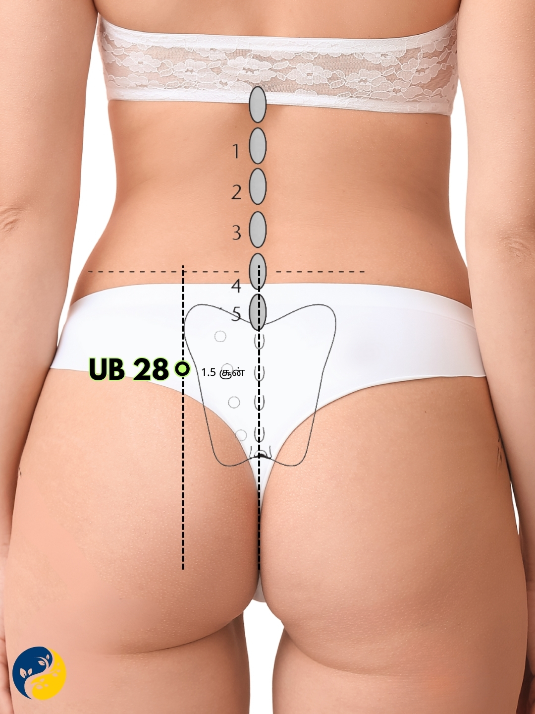 UB28 acupuncture point