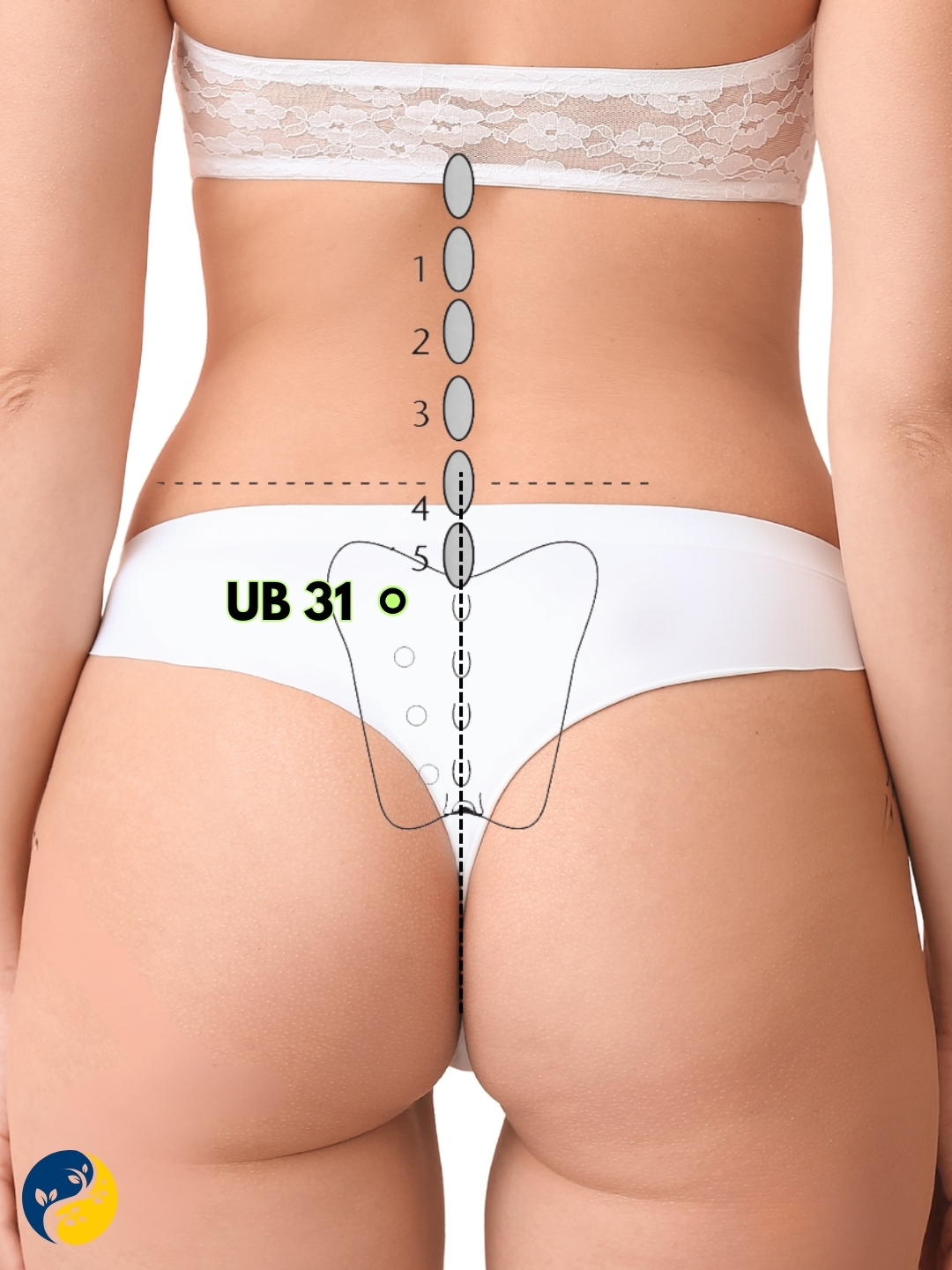 UB31 acupuncture point