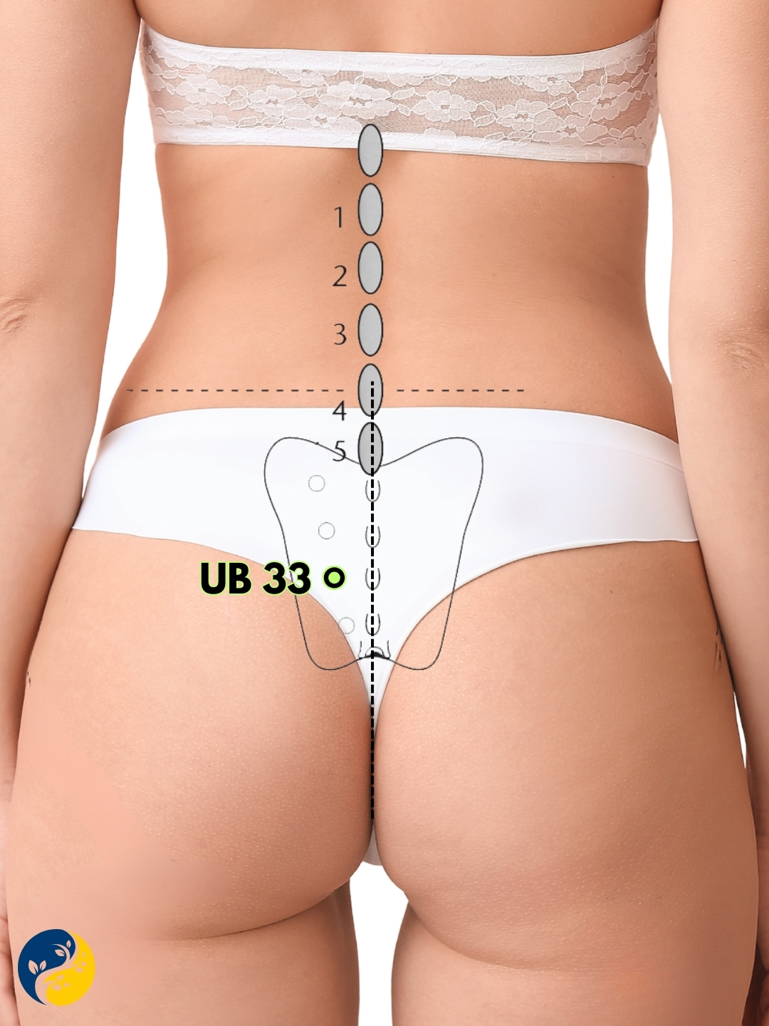 UB33 acupuncture point