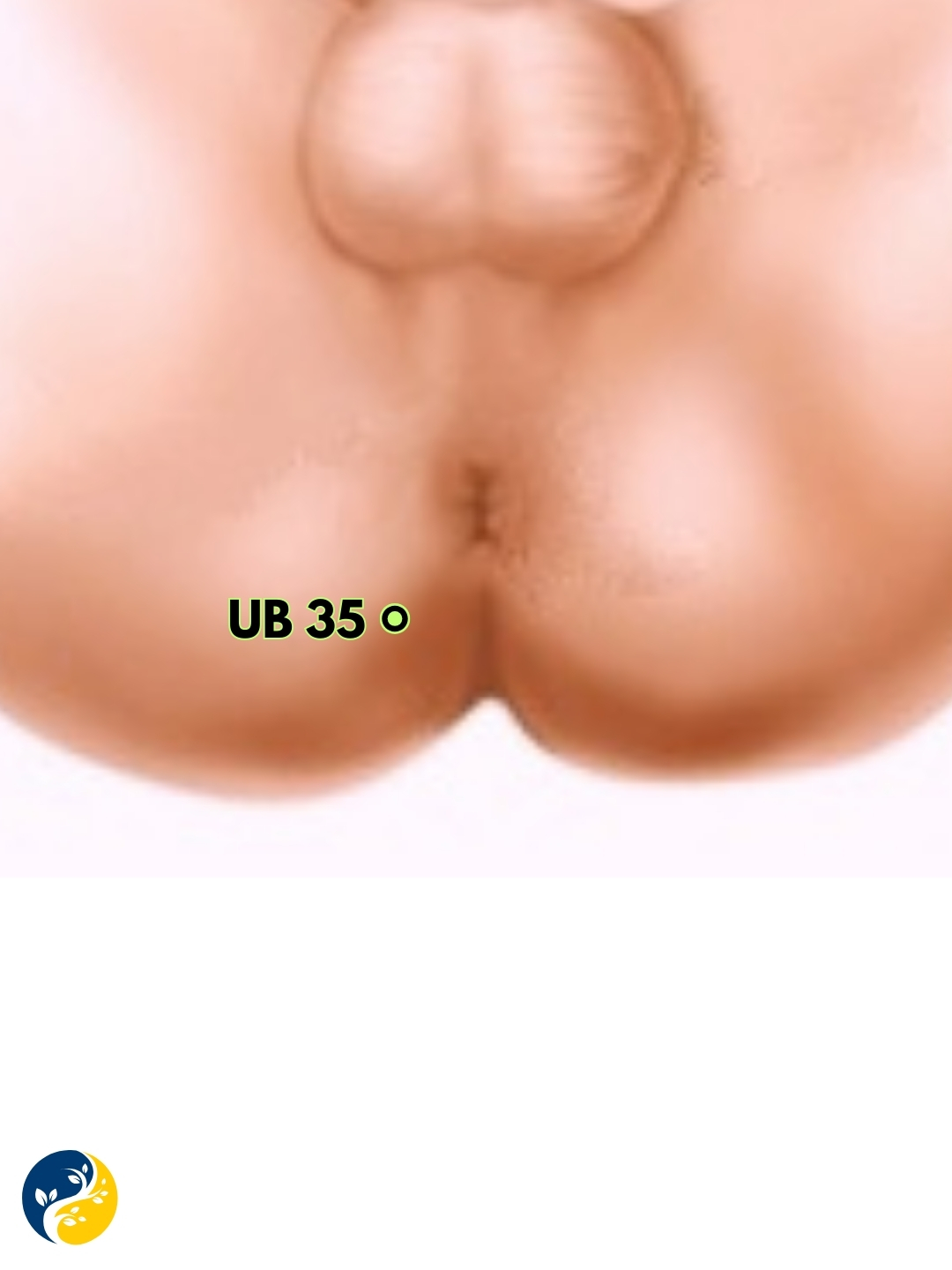 UB35 acupuncture point
