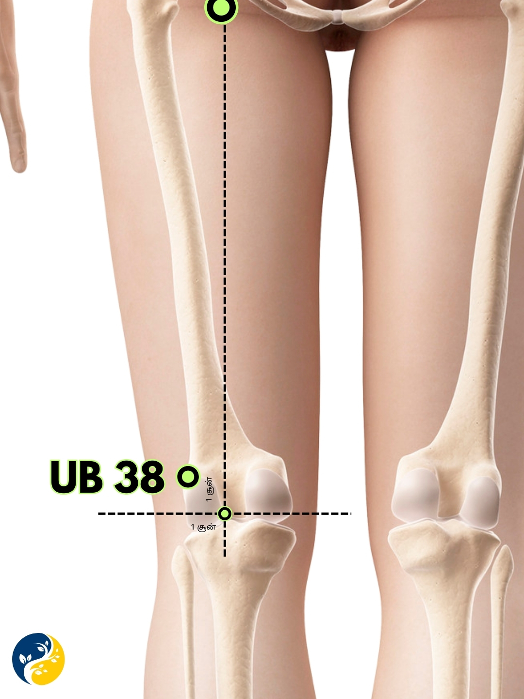 UB38 acupuncture point
