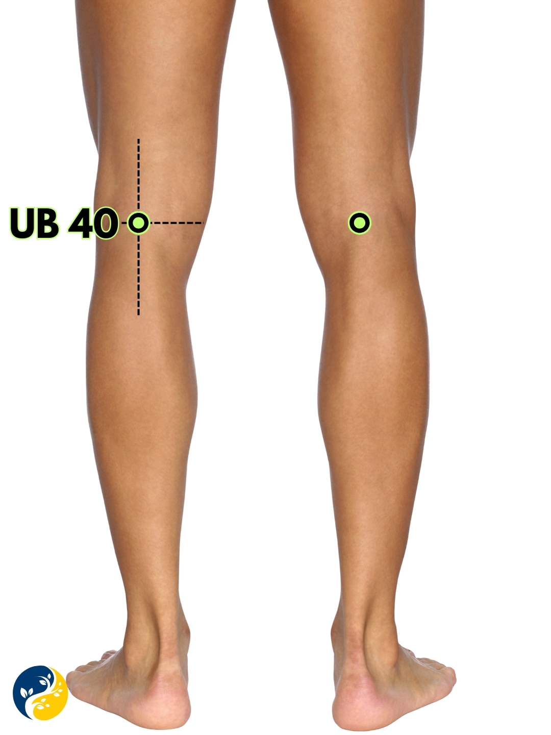 UB40 acupuncture point