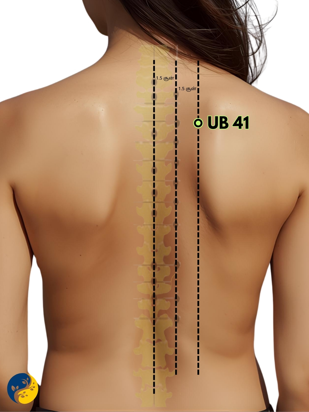 UB41 acupuncture point