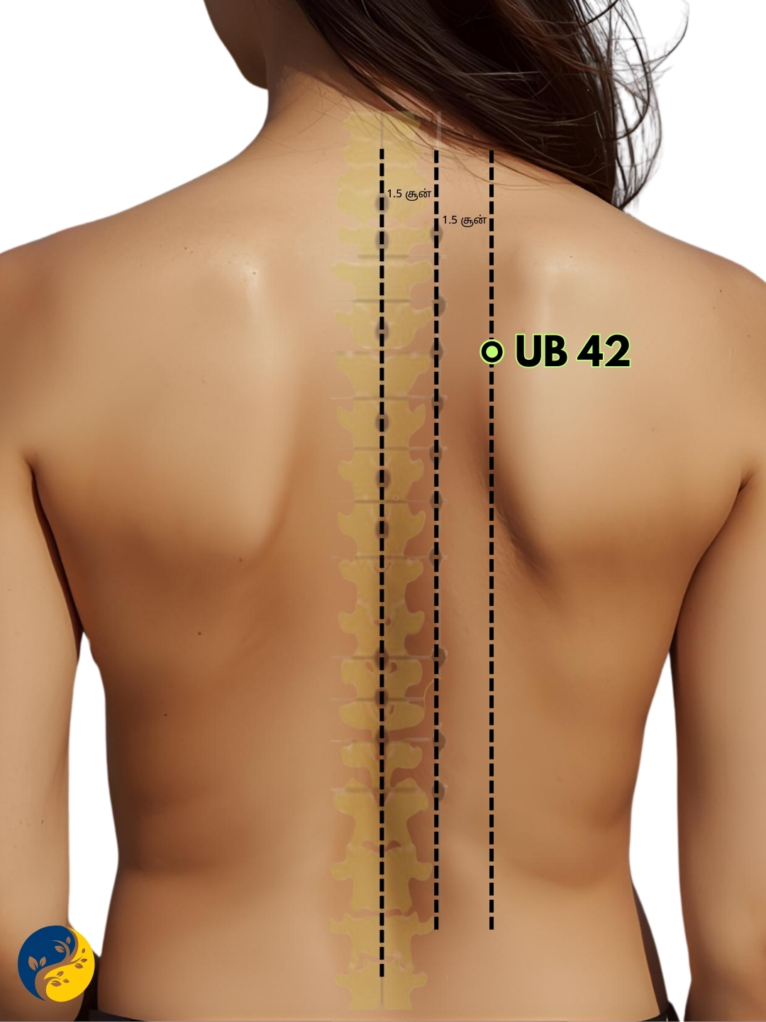 UB42 acupuncture point