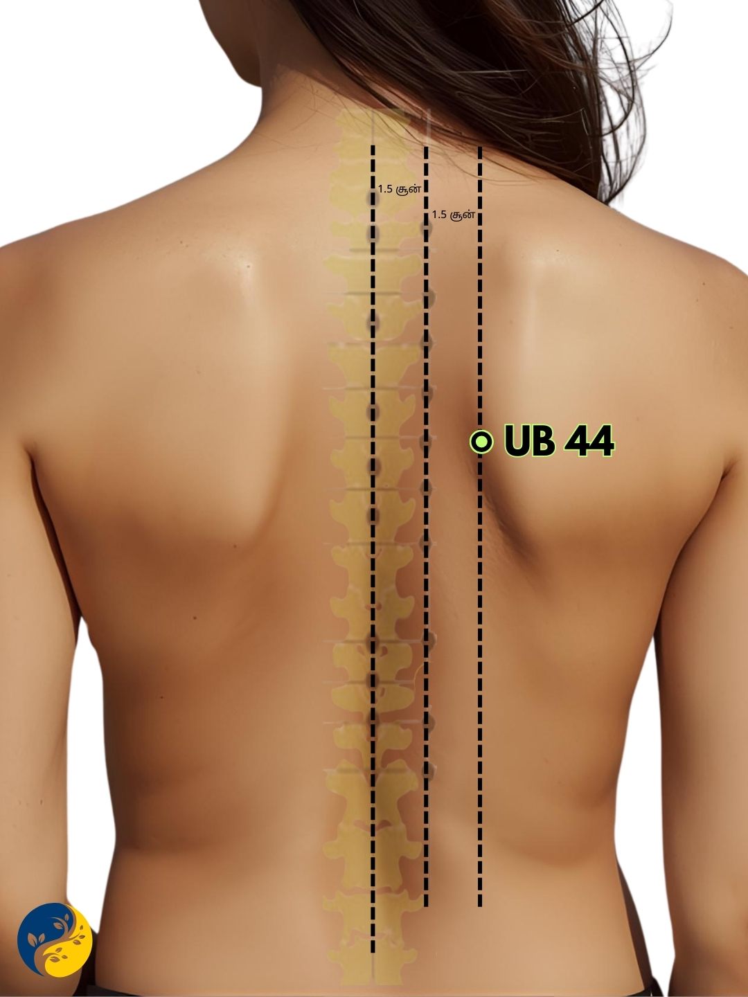 UB44 acupuncture point