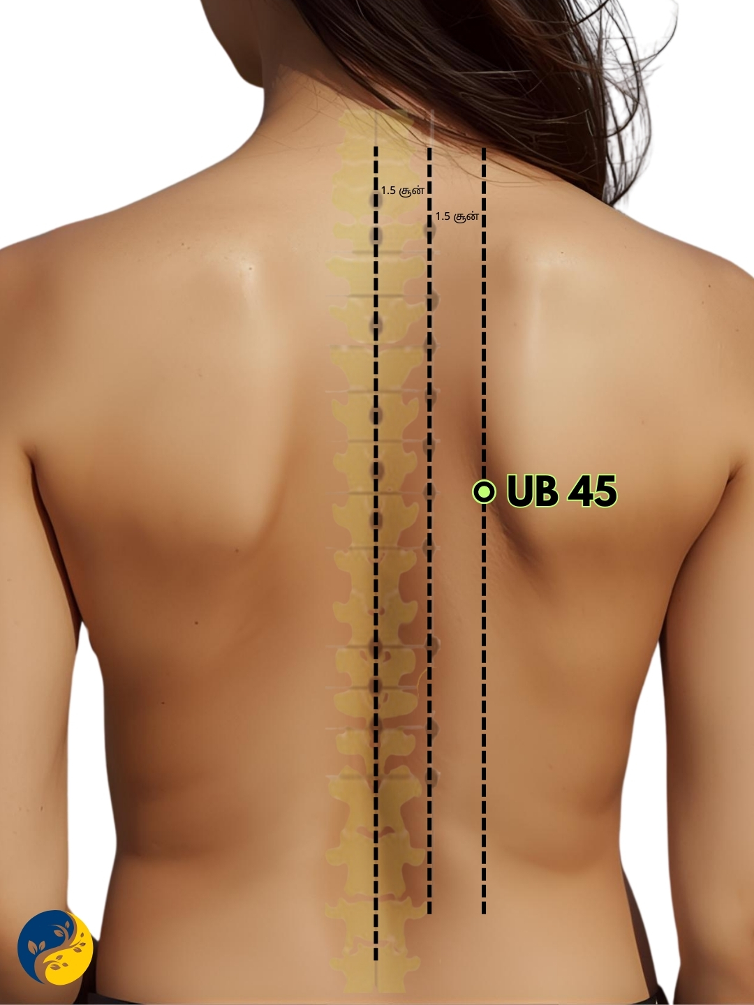 UB45 acupuncture point
