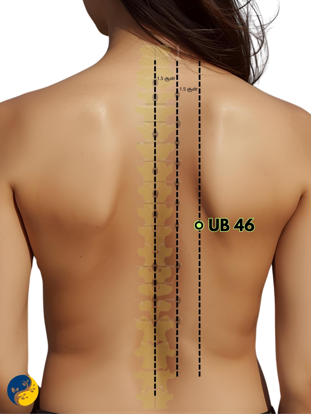 UB46 acupuncture point