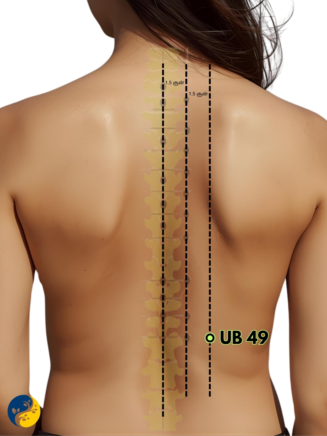 UB49 acupuncture point