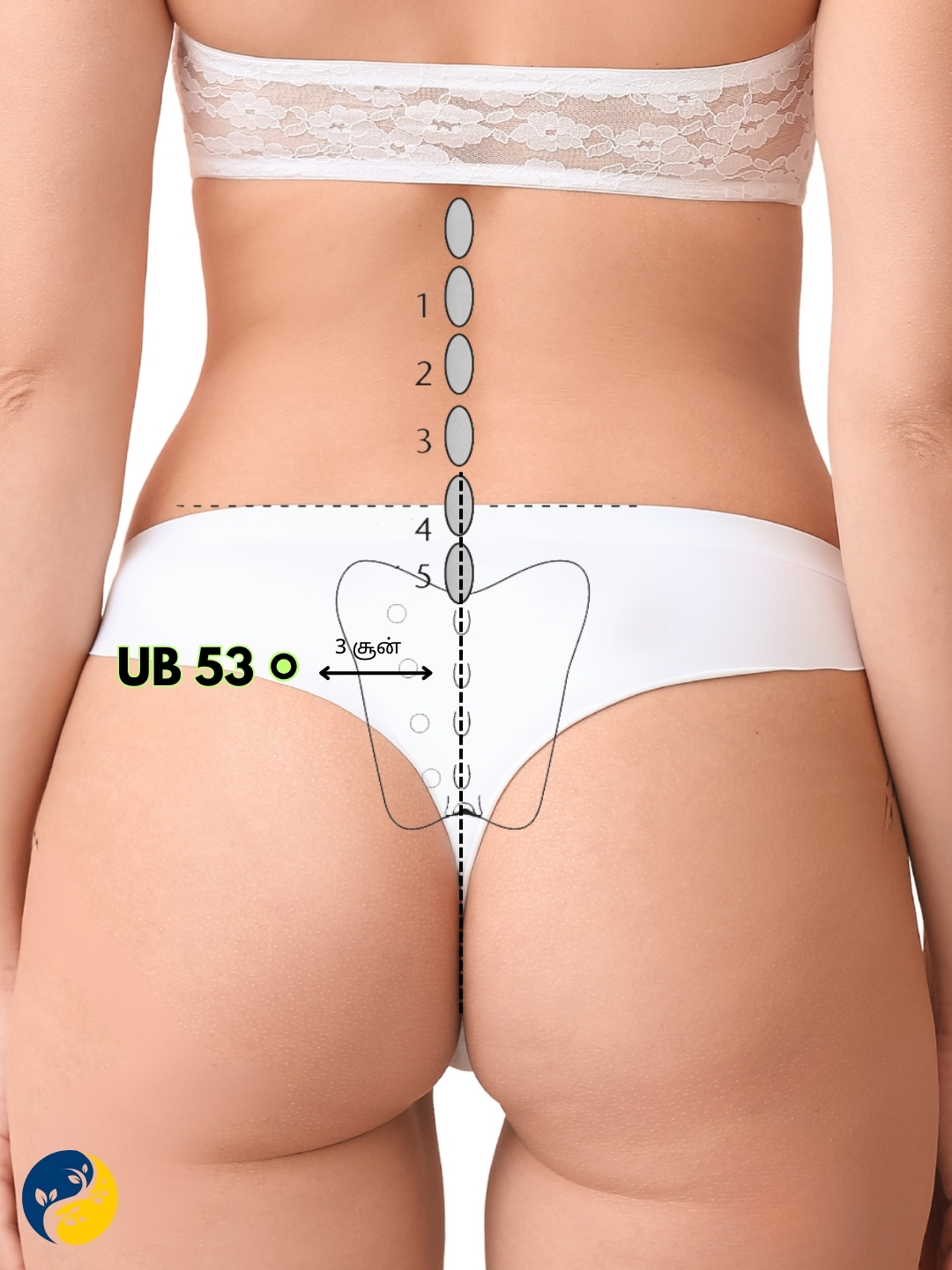 UB53 acupuncture point