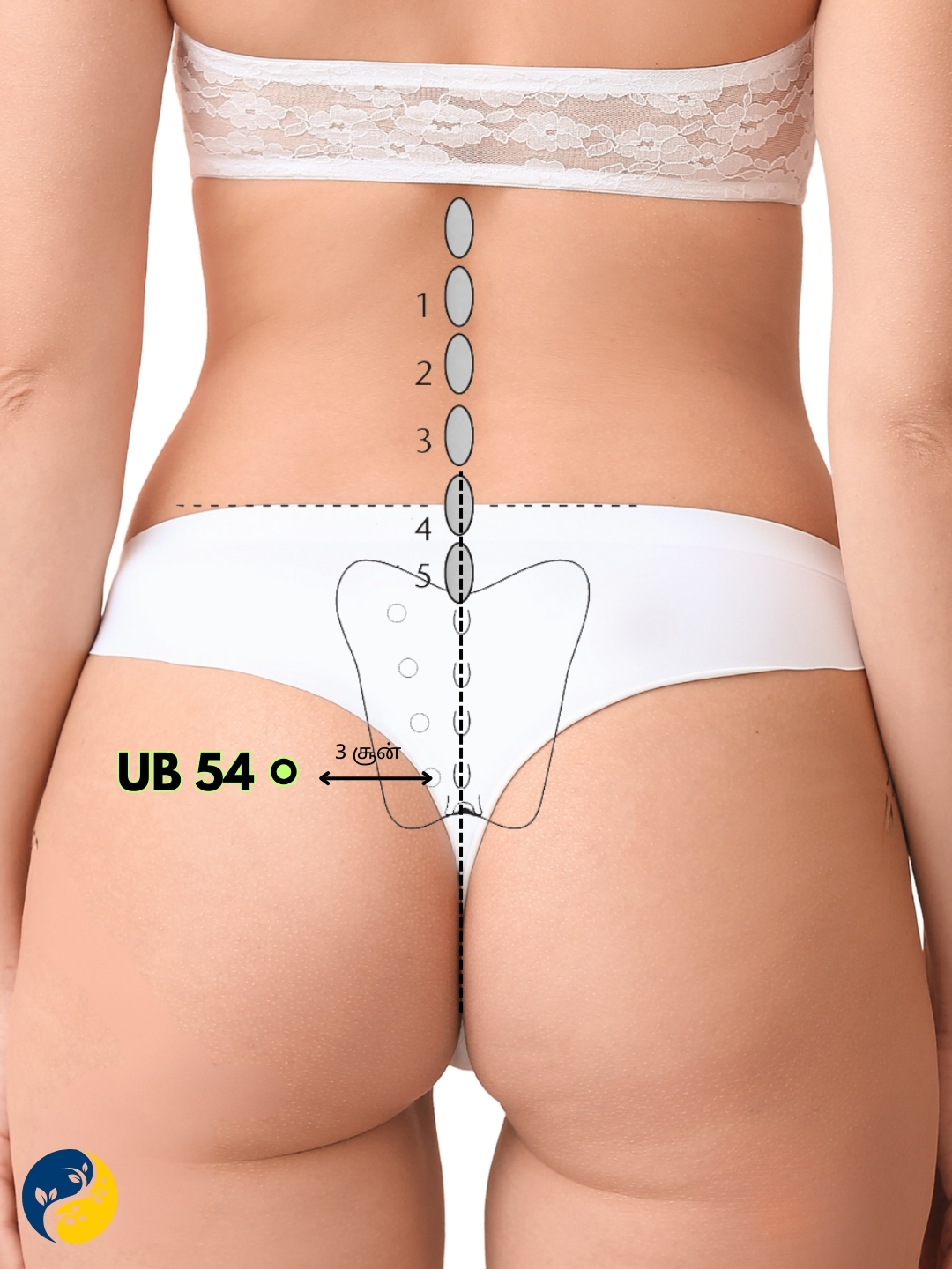 UB54 acupuncture point