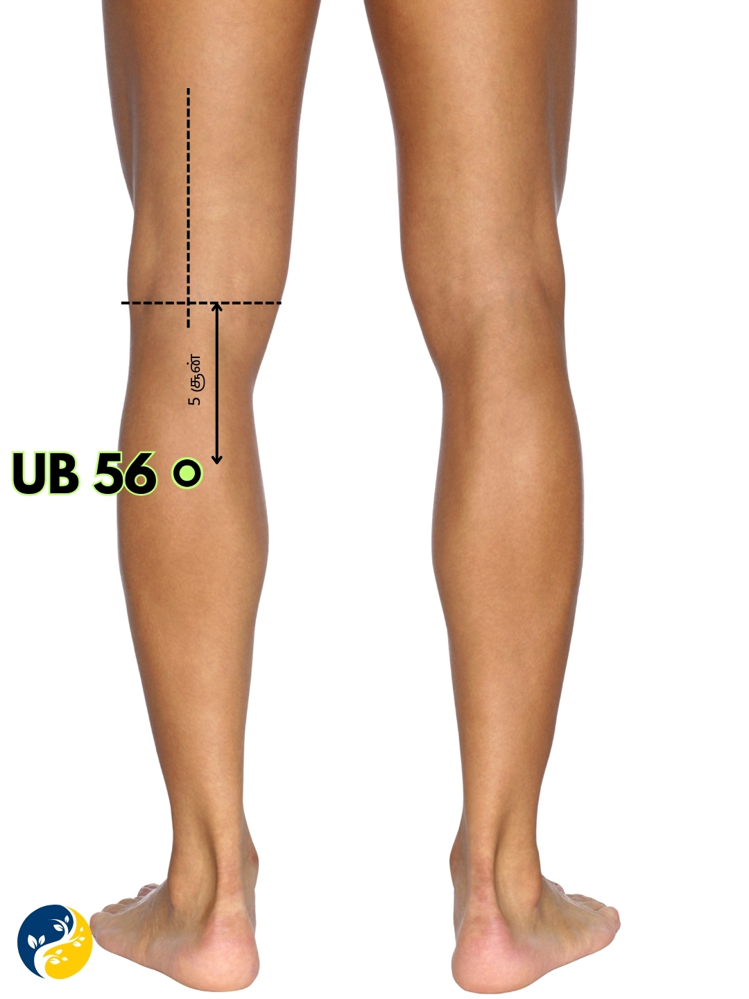 UB56 acupuncture point