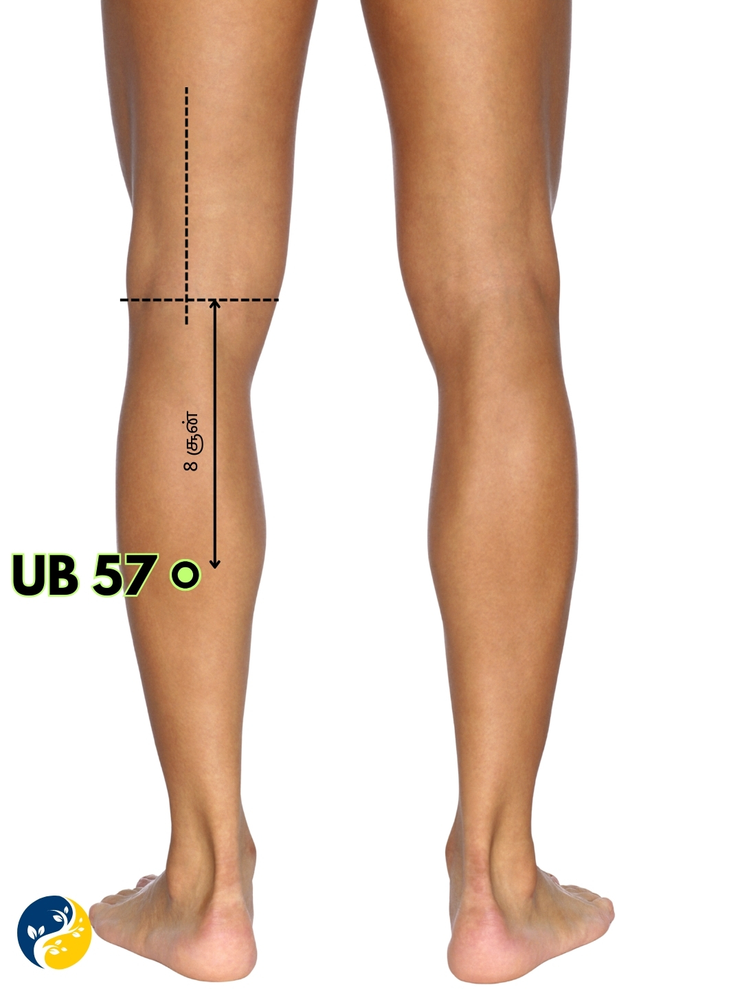 UB57 acupuncture point