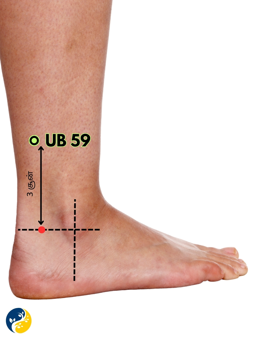 UB59 acupuncture point