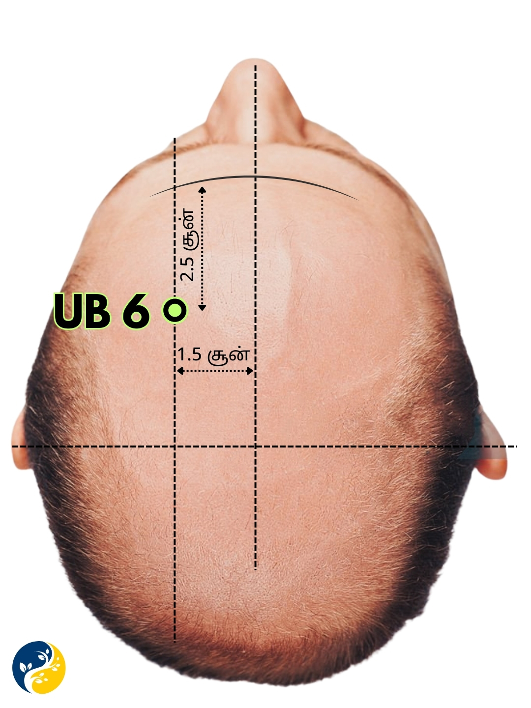 UB6 acupuncture point