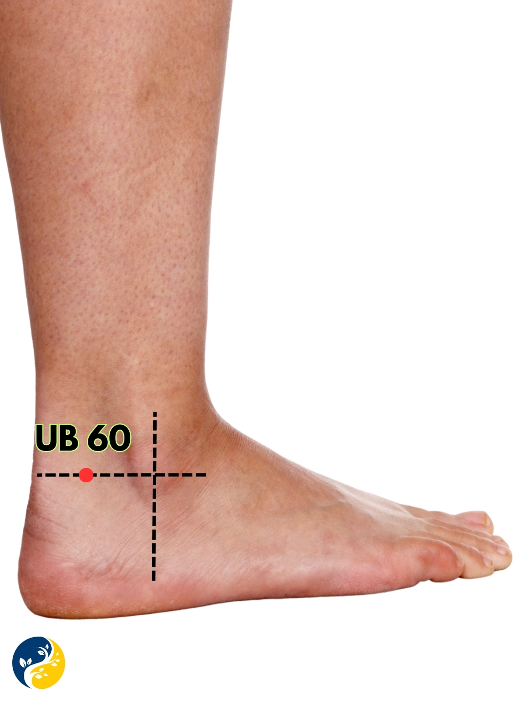 UB60 acupuncture point