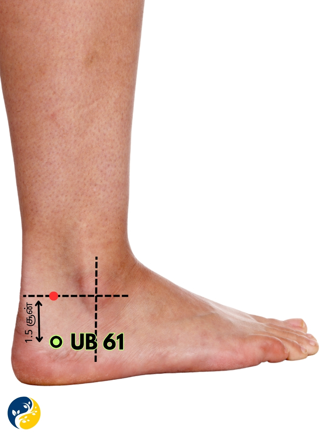 UB61 acupuncture point