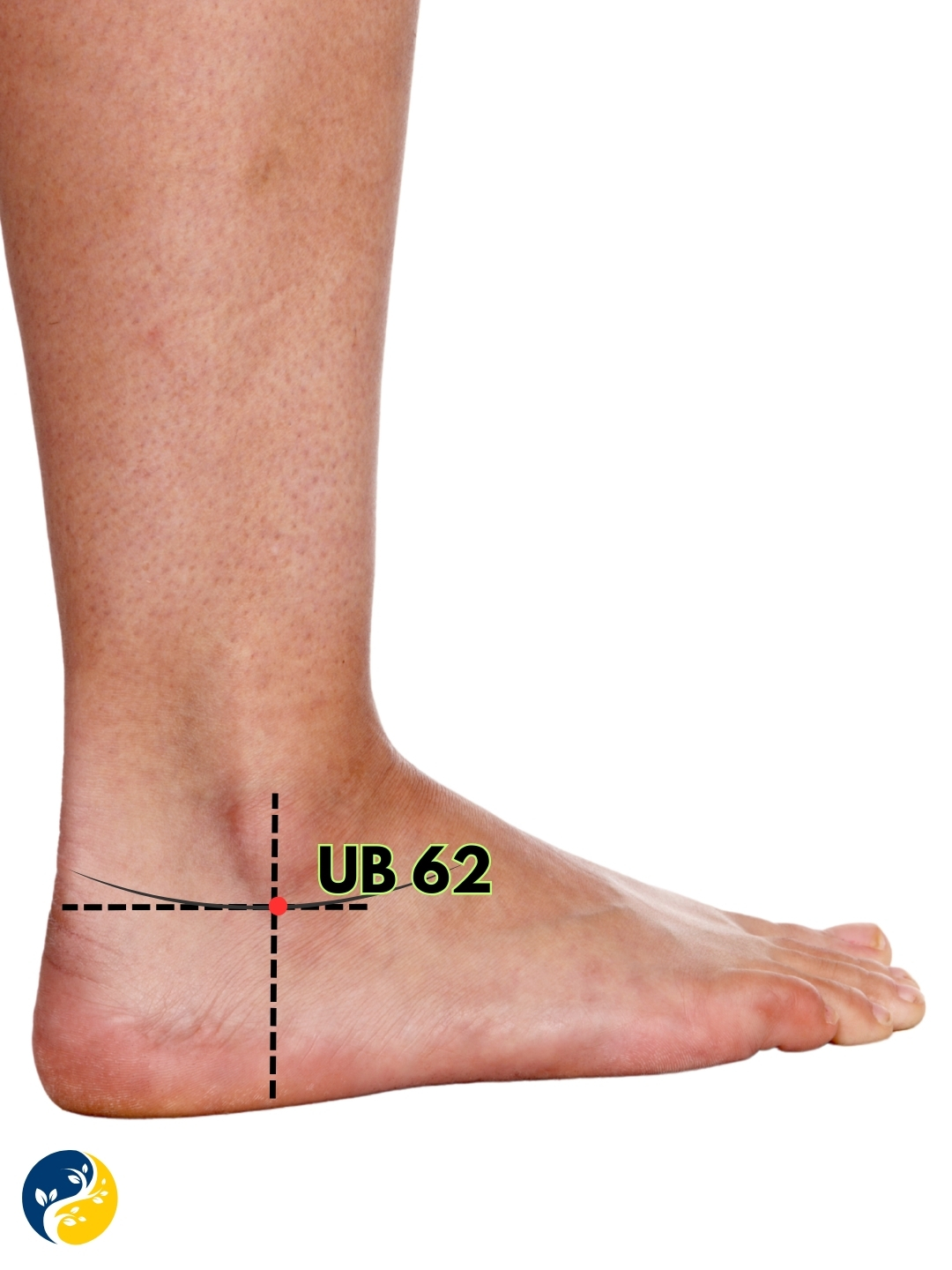 UB62 acupuncture point