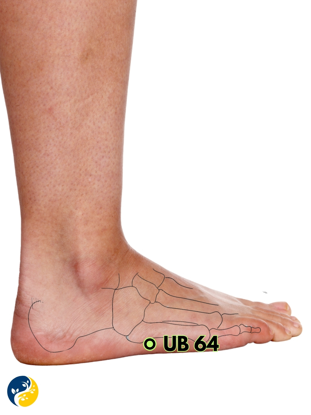 UB64 acupuncture point