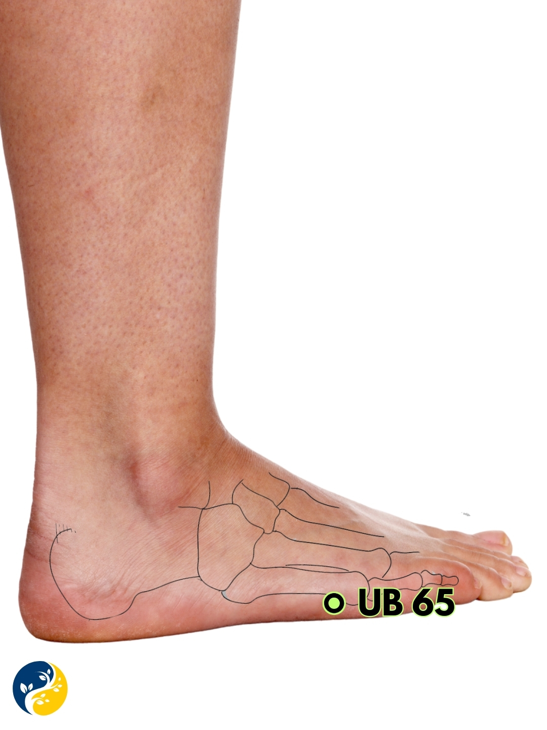 UB65 acupuncture point