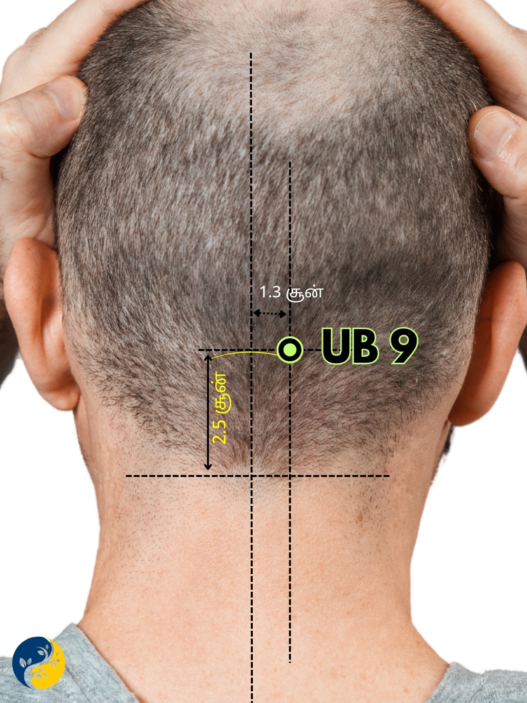 UB9 acupuncture point